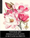 Vintage Art: Himalayan Plants 20 Botanical Prints: Ephemera for Framing, Collage, Decoupage and Junk Journals by Press, Vintage Revisited