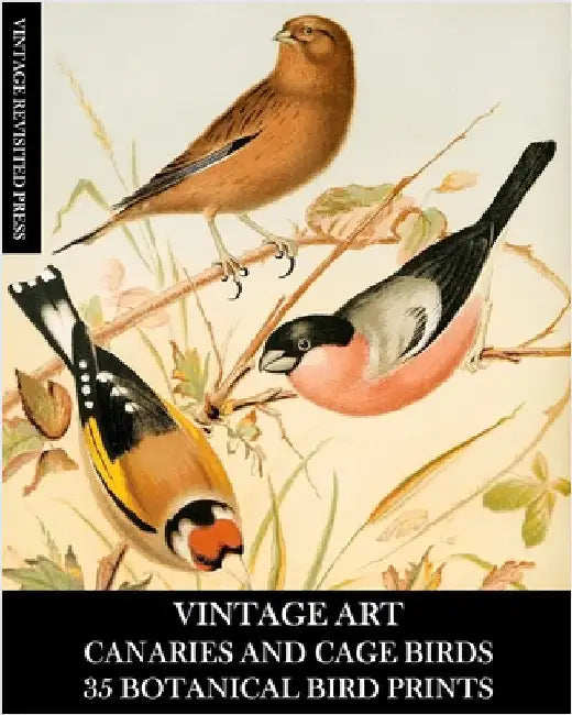 Vintage Art: Canaries and Cage Birds 35 Botanical Prints: Ephemera for Framing, Decoupage, and Mixed Media by Press, Vintage Revisited