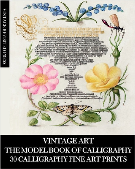 Vintage Art: The Model Book of Calligraphy: 30 Calligraphy Fine Art Prints by Vintage Revisited Press