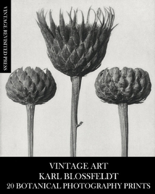 Vintage Art: Karl Blossfeldt 20 Botanical Photography Prints by Vintage Revisited Press