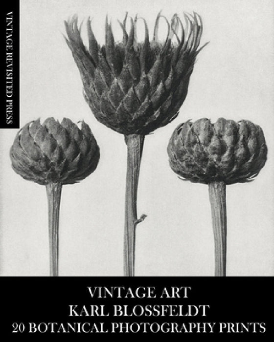 Vintage Art: Karl Blossfeldt 20 Botanical Photography Prints by Vintage Revisited Press