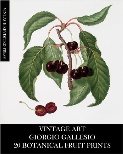 Vintage Art: Giorgio Gallesio 20 Botanical Fruit Prints by Vintage Revisited Press