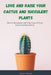 Love and raise your cactus and succulent plants by Rocky Fields