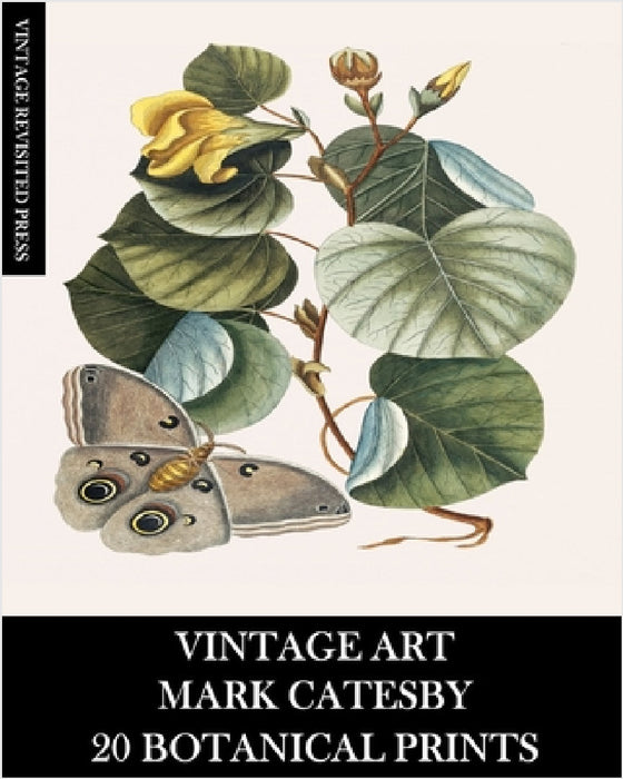 Vintage Art: Mark Catesby: 20 Botanical Prints by Vintage Revisited Press