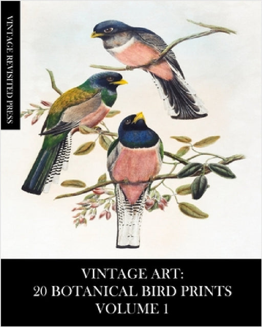Vintage Art: 20 Botanical Bird Prints Volume 1: Ephemera for Framing, Collage, Decoupage and Junk Journals by Vintage Revisited Press