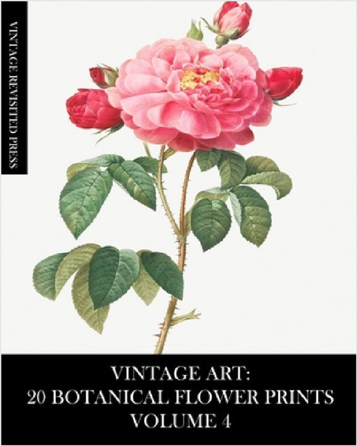 Vintage Art: 20 Botanical Flower Prints Volume 4: Ephemera for Framing, Collage, Decoupage and Junk Journals by Vintage Revisited Press