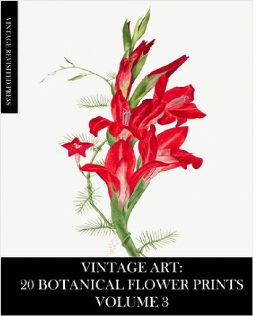 Vintage Art: 20 Botanical Flower Prints Volume 3: Ephemera for Framing, Junk Journals, Mixed Media and Decoupage by Vintage Revisited Press