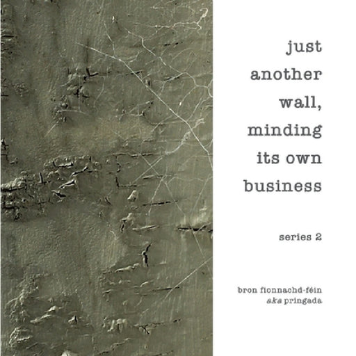 Just another wall, minding its own business, series 2 by Bron Fionnachd-Fein