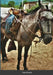 Two Paso's by Tom Leftwich