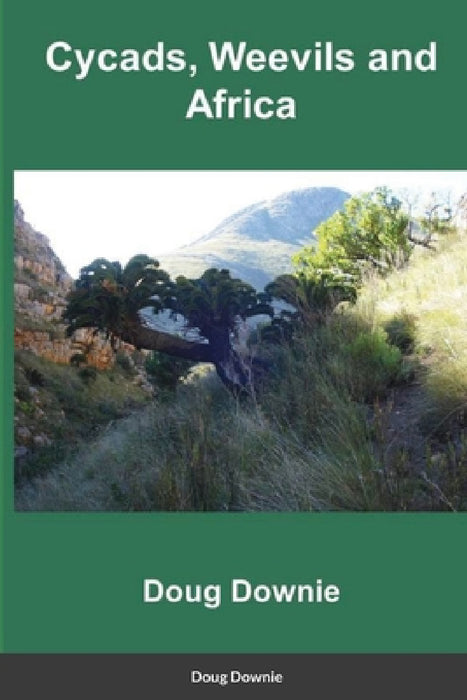 Cycads, Weevils, and Africa by Doug Downie