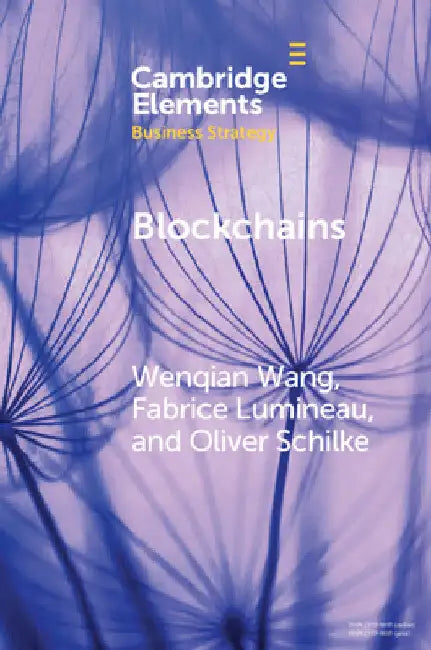 Blockchains by Wenqian Wang