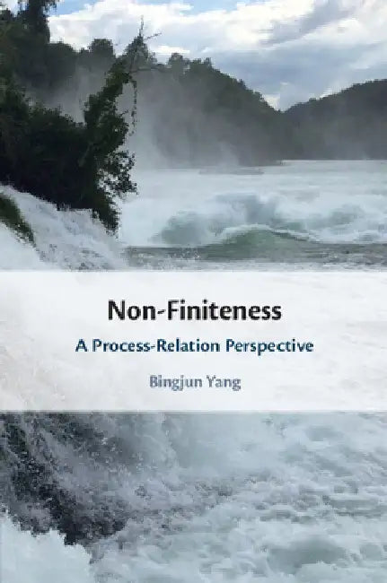 Non-Finiteness by Bingjun Yang