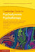 Cambridge Guide to Psychodynamic Psychotherapy by Adam Polnay