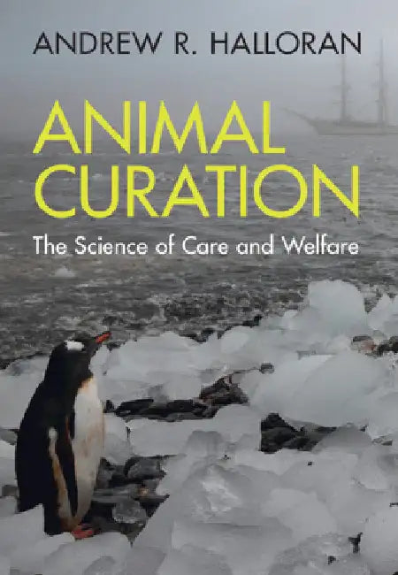 Animal Curation by Andrew R. Halloran