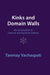 Kinks and Domain Walls by Tanmay Vachaspati