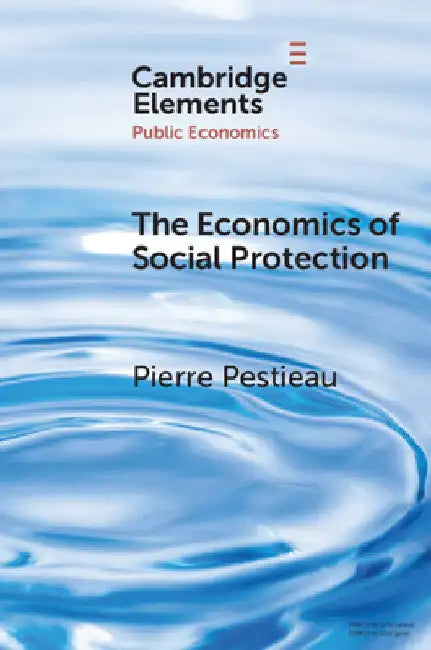The Economics of Social Protection by Pierre Pestieau