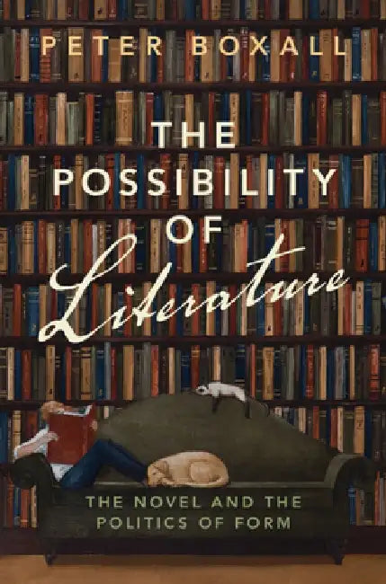 The Possibility of Literature: The Novel and the Politics of Form by Peter Boxall