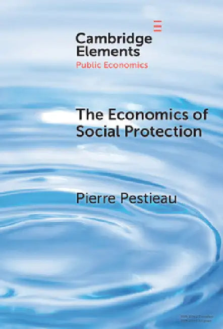 The Economics of Social Protection by Pierre Pestieau