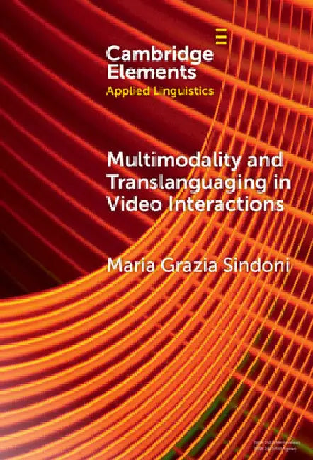 Multimodality and Translanguaging in Video Interactions by Maria Grazia Sindoni