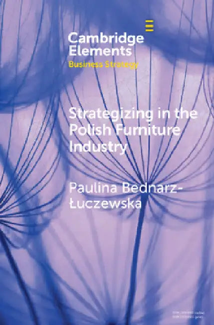 Strategizing in the Polish Furniture Industry by Paulina Bednarz-Luczewska