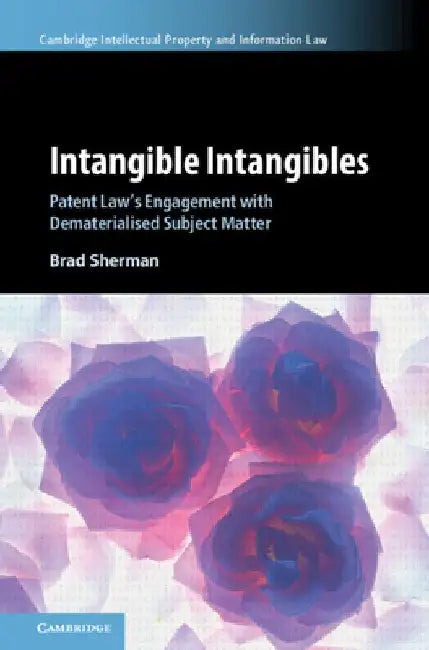 Intangible Intangibles by Brad Sherman