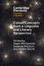 Colour Concepts from a Linguistic and Literary Perspective by Kimberley Pager-McClymont, Suzanne McClure, Amélie Doche