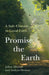 Promise the Earth: A Safe Climate in Good Faith by Julian Allwood, Andrew Davison