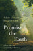 Promise the Earth by Julian Allwood, Andrew Davison
