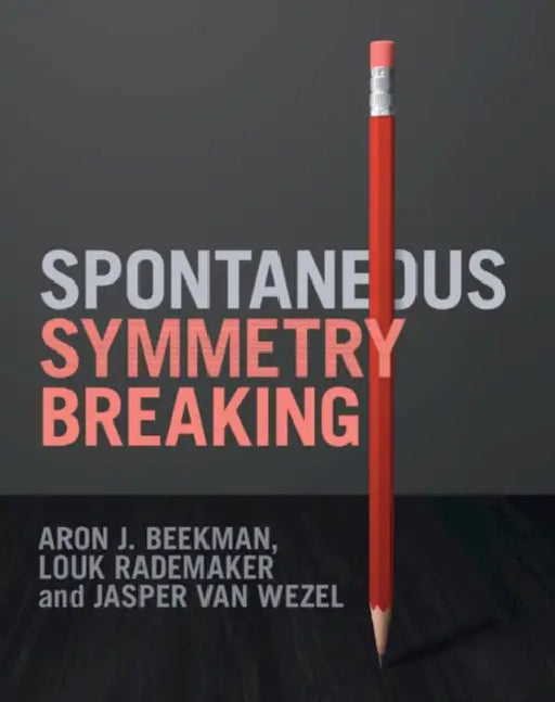 Spontaneous Symmetry Breaking by Aron J. Beekman, Louk Rademaker, Jasper Van Wezel