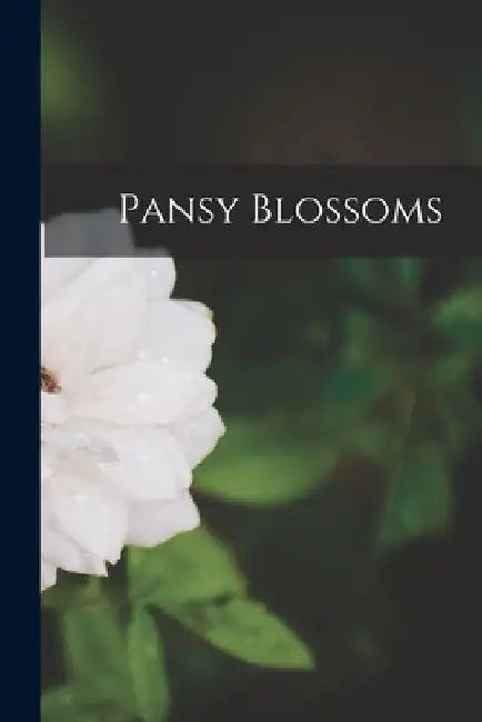 Pansy Blossoms by Anonymous