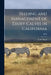 Feeding and Management of Dairy Calves in California; B478 by S. W. (Sylvester Warren) 1894- Mead