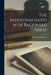 The Industrialisation of Backward Areas by Kurt Mandelbaum