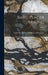 Basic Placer Mining; no.41 by California Division of Mines and Geo