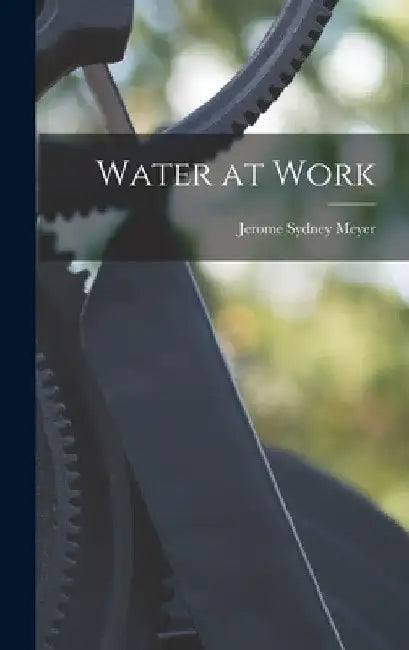 Water at Work by Jerome Sydney 1895- Meyer