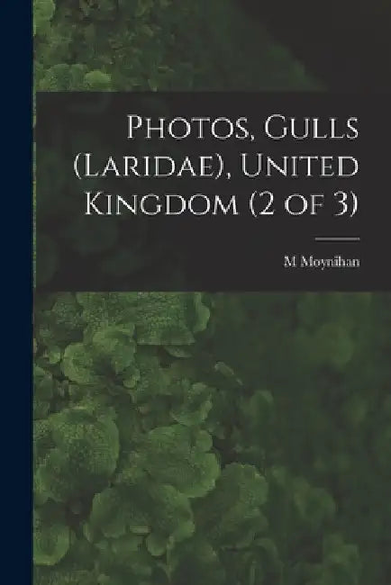Photos, Gulls (Laridae), United Kingdom (2 of 3) by M. Moynihan