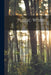 Public Works; 48 by Anonymous