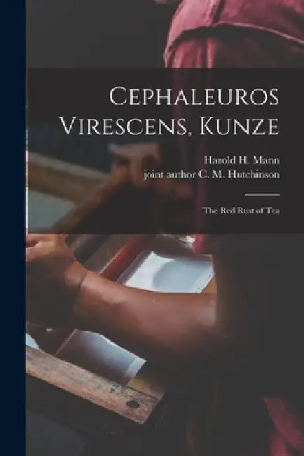 Cephaleuros Virescens, Kunze: the Red Rust of Tea by Harold H. (Harold Hart) B. 1872 Mann