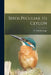 Birds Peculiar to Ceylon by W. Vincent (William Vincent) Legge