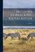 British Bee Journal & Bee-keepers Adviser; v.2 1874-75 by Anonymous