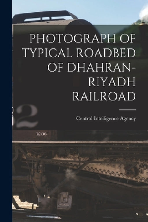 Photograph of Typical Roadbed of Dhahran-Riyadh Railroad by Central Intelligence Agency