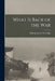 What is Back of the War by Albert Jeremiah 1862-1927 Beveridge