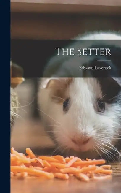 The Setter by Edward Laverack