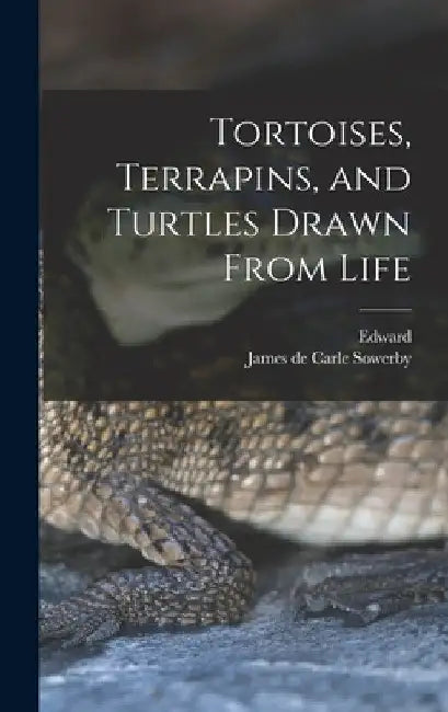 Tortoises, Terrapins, and Turtles Drawn From Life by James De Carle 1787-1871 Sowerby