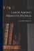 Labor Among Primitive Peoples by George Julius Engelmann
