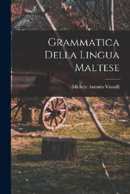 Grammatica Della Lingua Maltese by Michele Antonio Vassalli