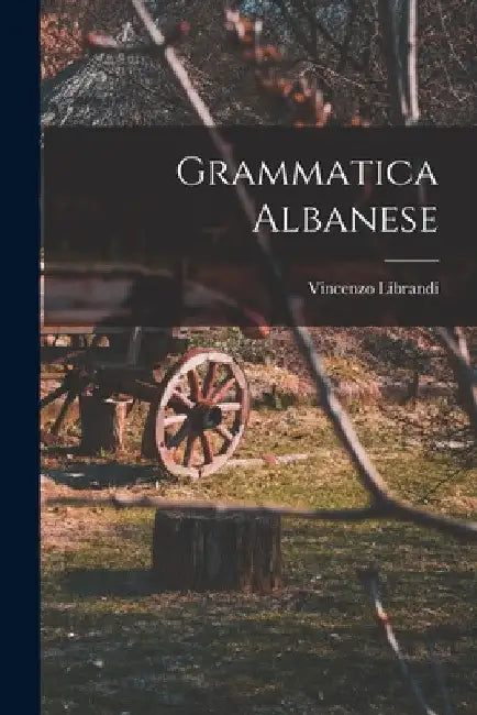 Grammatica Albanese by Vincenzo Librandi
