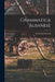 Grammatica Albanese by Vincenzo Librandi