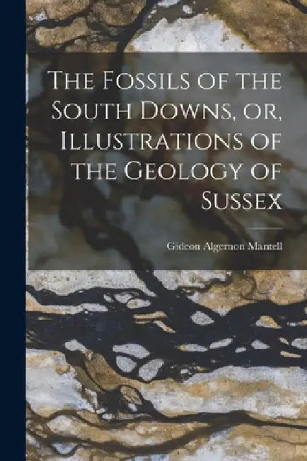 The Fossils of the South Downs, or, Illustrations of the Geology of Sussex by Gideon Algernon 1790-1852 Mantell