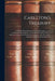 Carleton's Treasury: A Valuable Hand-book of General Information, and A Condensed Encyclopedia of Universal Knowledge, Being A Reference Bo by Anonymous