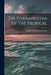 The Foraminifera of The Tropical by Joseph Augustine Cushman